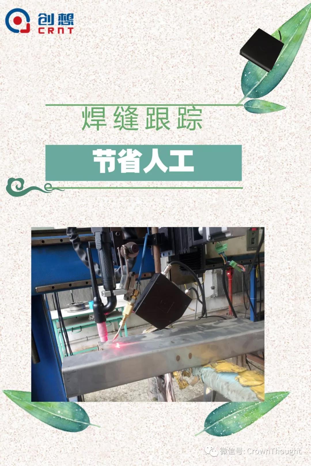 粽葉帶來的不僅僅是粽子，還有...